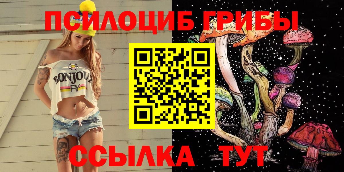 Галлюциногенные грибы Psilocybine cubensis Родники